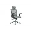 Ergonominė biuro kėdė ERGO 500 pilkas