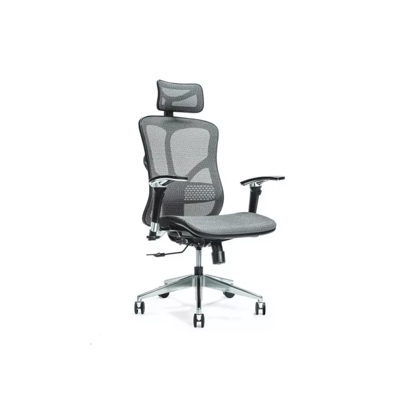 Ergonominė biuro kėdė ERGO 500 pilkas