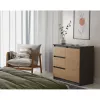 Komoda Topeshop 1D3S 80×40×75 cm, antracito ąžuolo amatininko matinė