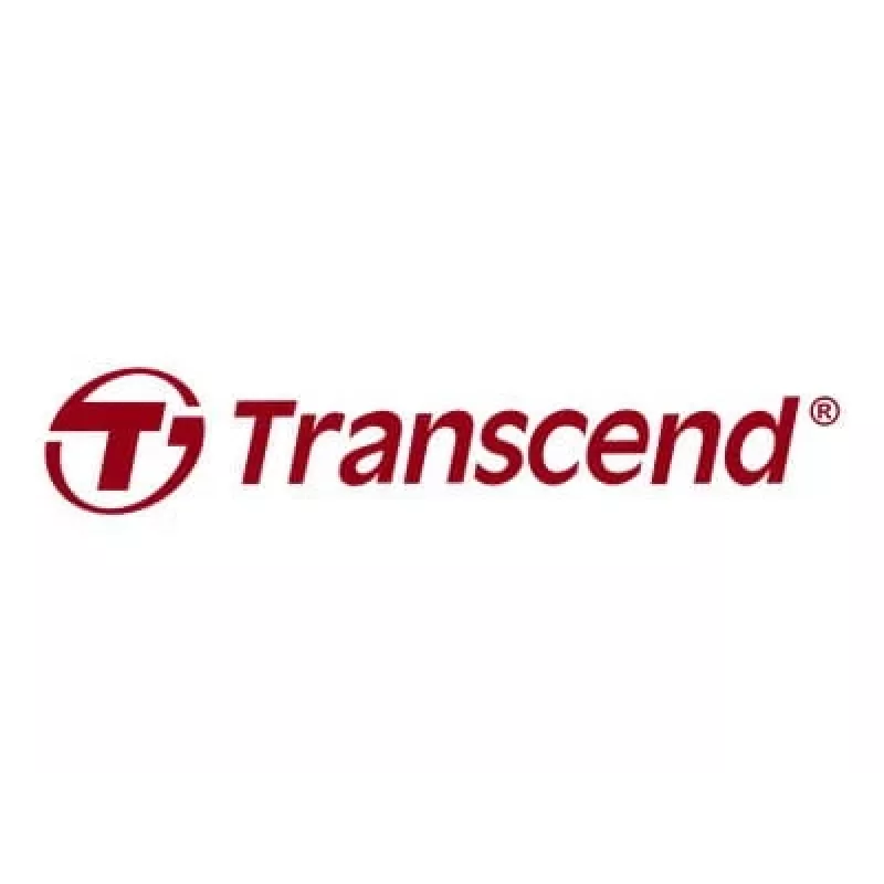 USB atmintinė Transcend 128 GB USB Type-C JetFlash 790C
