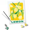 Ravensburger CreArt dažymo rinkinys – Citrinos (dizainas 25515) drobės tapybos projektams