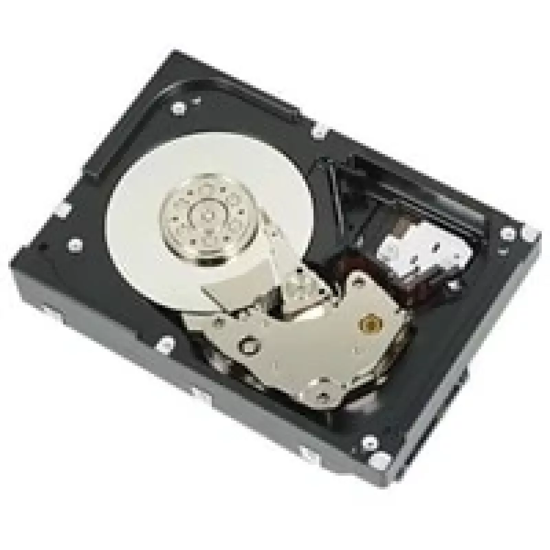 DELL 400-AUUX vidinis kietasis diskas 4 TB 7200 RPM 3.5 colio Serial ATA III
