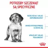 Sausas šunų maistas Royal Canin Medium Puppy 15 kg — vidutinių veislių šuniukams, vištienos skonio, 32 % baltymų, 20 % riebalų