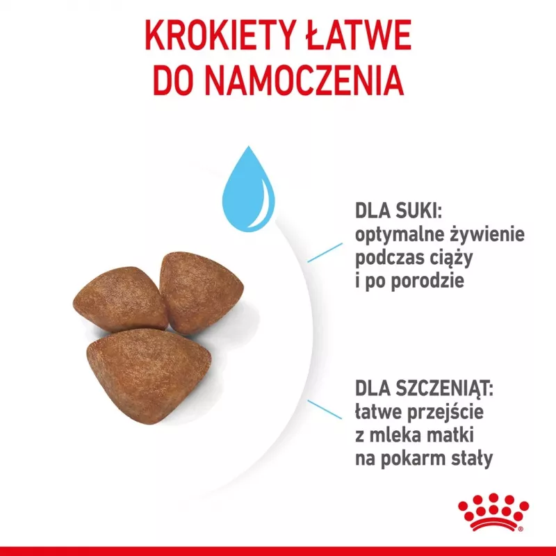 Sausas šunų maistas Royal Canin Starter Mother & Babydog 1 kg — vištienos, 30% baltymų, 22% riebalų