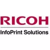 Ricoh 413013 spausdintuvo rinkinys