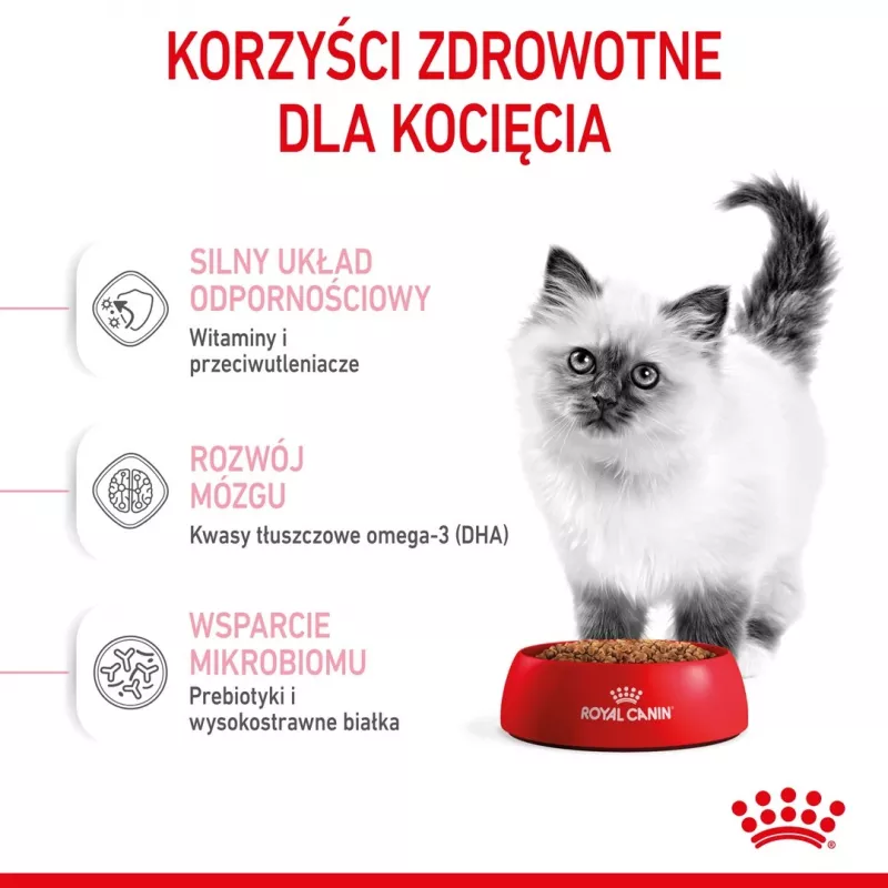 Sausas kačių maistas Royal Canin Kitten 2 kg — paukštienos (vištienos) formulė, baltymai 36%, riebalai 18%