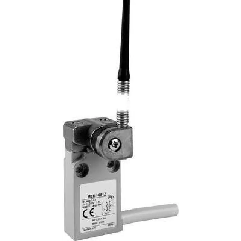 Panasonic Endschalter 24 V 5 A Spring Rod MEM1G61Z IP67 1 vnt. (MEM1G61Z)