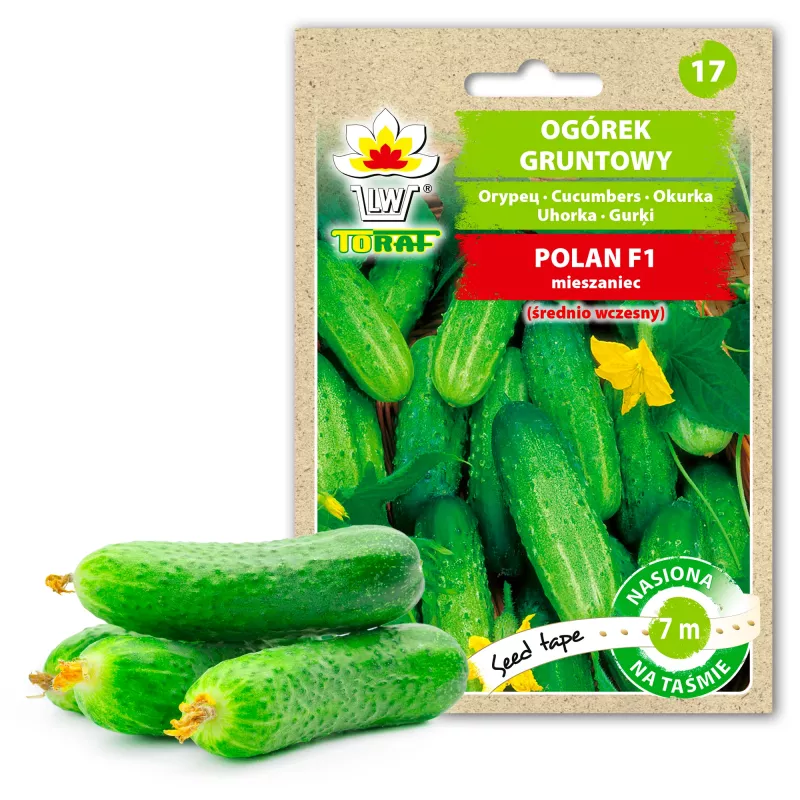 Polan F1 agurkų PNOS sėklos ant juostos, 6 m juosta