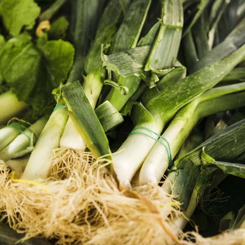 Sėklos Seklos LT Poras Starozagorski Kamień – daržovių sėklos, paketėlis 1 g
