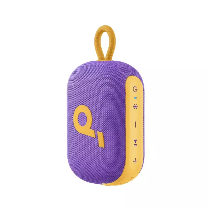 Vakarėlių garsiakalbis Soundcore Select 4 Go Violetinis