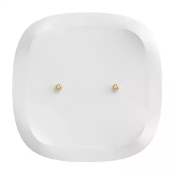 Skysčių nuotėkio jutiklis Sonoff SNZB-05P, maitinamas baterijomis, IP67, plastikinis korpusas, 48×48×21,6 mm, 60 mėnesių baterijos veikimo laikas