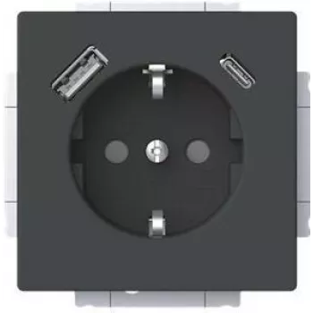 Busch-Jaeger SCHUKO lizdas USB-A+C 20 EUCB2USBAC-885 (2CKA002011A6312)