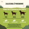 PURINA Adventuros Training salmon - šunų skanėstas - 40g