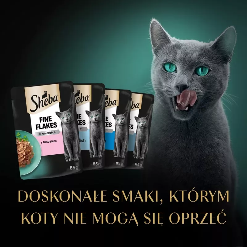 Sheba Delicacy žuvies skonių drebučiuose drėgnas ėdalas katėms, 80 x 85 g