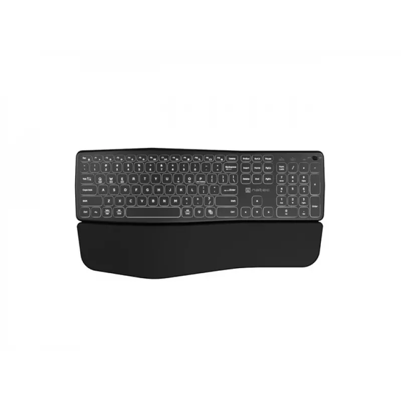NATEC PORIFERA klaviatūra Namai/Biuras Bluetooth QWERTY US International Juoda