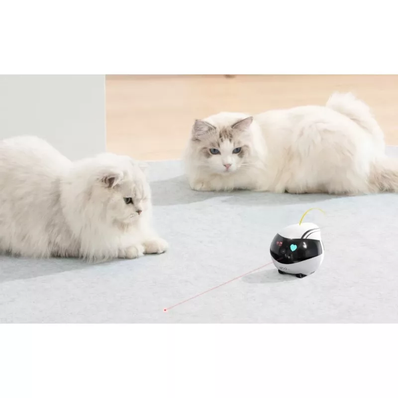 ENABOT Ebo Air AI Robot baltas ir juodas