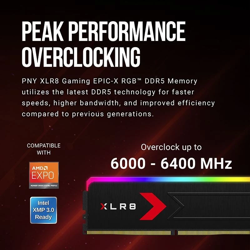 Atmintis PNY DDR5 32GB 5600 BULK