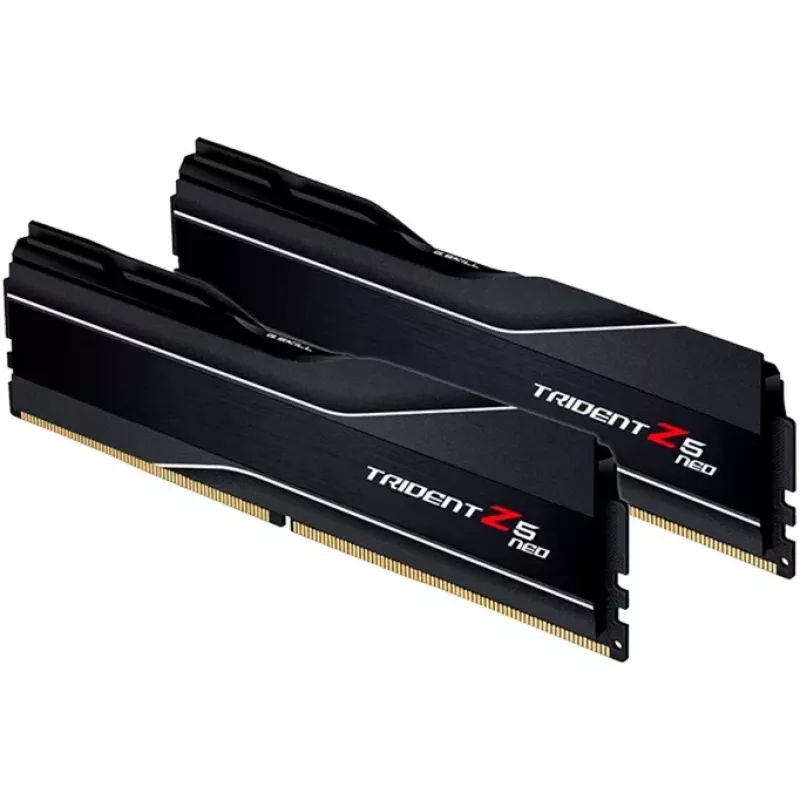 G.SKILL DDR5 atminties modulis 64 GB (2 x 32 GB) 6000 MHz CL30 288 kontaktų DIMM 1,4 V EXPO/XMP 3.0 su aušintuvu