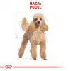 Sausas šunų maistas Royal Canin Poodle Adult 1,5 kg — Vištiena, 30 % baltymų, 19 % riebalų