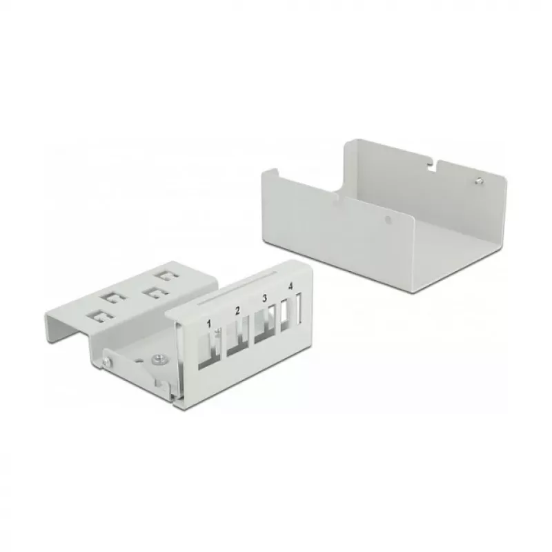 Keystone Patch Panel DeLOCK 43407 4 Port Pilka