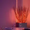 LED girlianda Twinkly TWD200STP-TEU įvairiaspalvė vidaus juostelė, 5 cm tarpai, IP20, permatomas kabelis