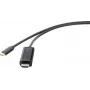 Renkforce RF-4531590 Laido adapteris USB-C HDMI juodas (RF-4531590)
