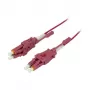 Synergy21 S215552 jungiamumo priedas