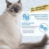 INABA Churu odos ir kailio priežiūros vištienos receptūra – kačių skanėstai – 4x14 g