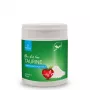 POKUSA RawDietLine Taurinas – taurino papildas šunims ir katėms, 150 g