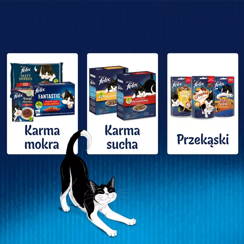 Šlapias kačių maistas „Felix Sensations Country Flavors“ želė, rinkinys 24×85 g – šlapias maistas, 24 pakeliai, po 85 g, drėgmė 82 %