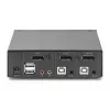 KVM jungiklis, 2x1 DS-12851
