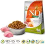 Farmina Pet Food ŠERNO IR OBUOLIŲ ADULT MINI