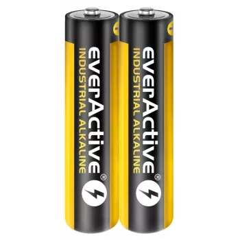Vienkartinė šarminė baterija everActive EVLR03S2IK AAA 1,5 V, 40 vnt., 5 metų galiojimo laikas