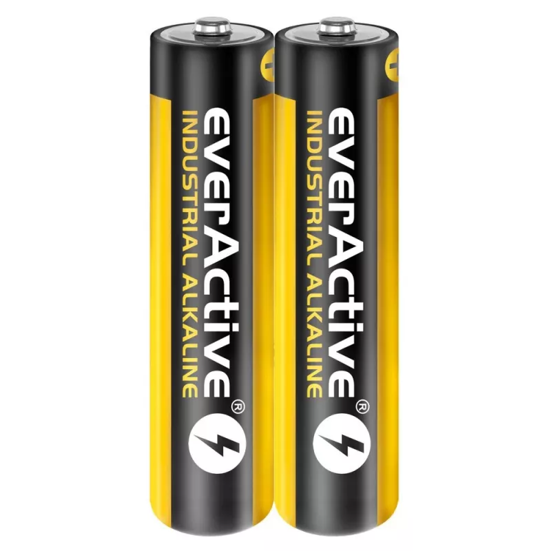 Vienkartinė šarminė baterija everActive EVLR03S2IK AAA 1,5 V, 40 vnt., 5 metų galiojimo laikas