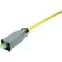 HARTING Germany GmbH & Co. KG jungtis RJ-45 09451151520 (09451151520)