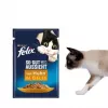 Šlapias kačių maistas Purina Felix daug baltymų 100 g pakelis — žuvies ir vištienos skonio, suaugusioms katėms, pakuotėje 120 vnt.