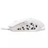Pelė White Shark GM-5016 Ector White USB