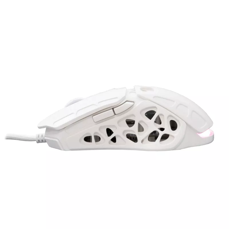 Pelė White Shark GM-5016 Ector White USB