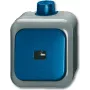 BUSCH JAEGER 2621 WDI - 1P - Žalia - Pilka - 250 V - 74 mm - 54 mm - 80 mm