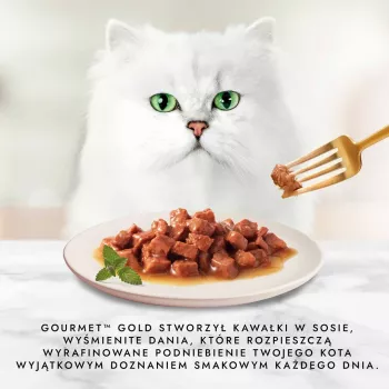 Purina 7613032947972 kačių drėgnas maistas 85 g