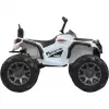 Ride-on Protector Quad, Kinderfahrzeug Balta, 12 V