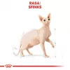 Sausas kačių maistas Royal Canin Sphynx Adult 2 kg — kiaulienos skonio, 33% baltymų, 23% riebalų
