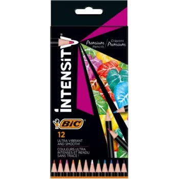 BIC spalvoti pieštukai Intensity 12 spalvų 951844
