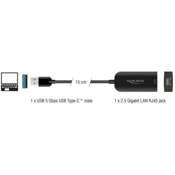 DeLOCK 66045 kabelio jungčių adapteris USB 5 Gbps Type-A 2,5 Gigabit LAN RJ45 juodas