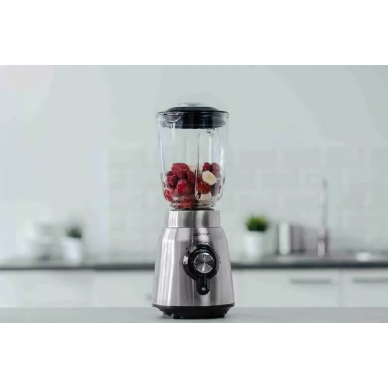 Zelmer ZSB4850 trintuvas 1,75 L Stalinis trintuvas 1250 W Nerūdijantis plienas