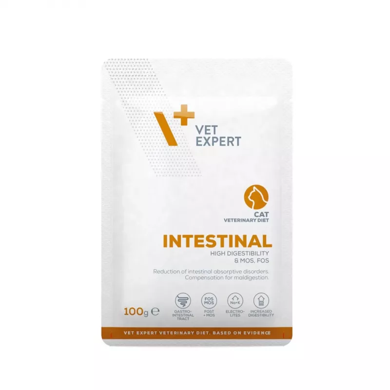 Drėgnas veterinarinis dietinis ėdalas VETEXPERT Intestinal Cat 100 g — vištiena, baltymai 38%, riebalai 20%, suaugusioms katėms, kasos nepakankamumas