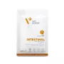 Drėgnas veterinarinis dietinis ėdalas VETEXPERT Intestinal Cat 100 g — vištiena, baltymai 38%, riebalai 20%, suaugusioms katėms, kasos nepakankamumas