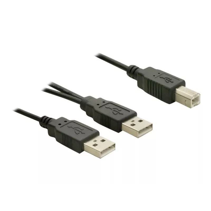USB laidas DeLOCK USB-B/USB-A laidas 1 m juodas