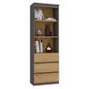 Biuro knygų spintos viršutinė dalis top e shop RS-60 ANT/ART KPL — 3 lentynos, medžio drožlių plokštė, 600×350×1800 mm