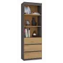 Biuro knygų spintos viršutinė dalis top e shop RS-60 ANT/ART KPL — 3 lentynos, medžio drožlių plokštė, 600×350×1800 mm